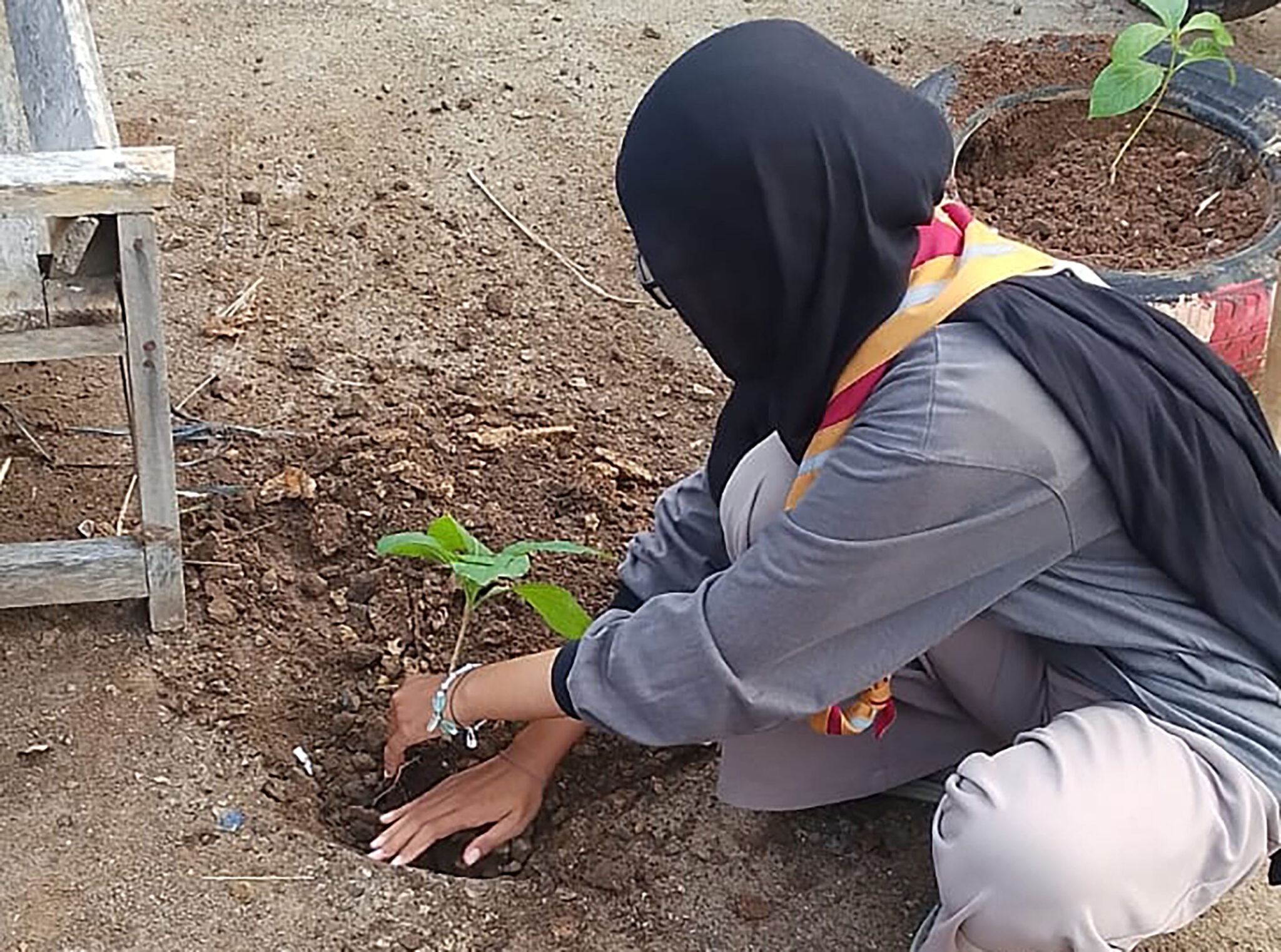 Ketua Kwartir Daerah Gerakan Pramuka NTB, Kak Drs. H. Fathul Gani, M.Si yang didampingi Wakil Ketua dan Andalan Daerah menghadiri Pembukaan Jambore Cabang Kabupaten Sumbawa Barat